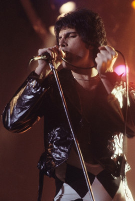 Freddie Mercury profile Photo
