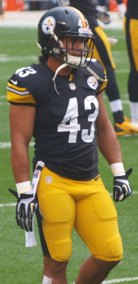 Troy Polamalu profile Photo